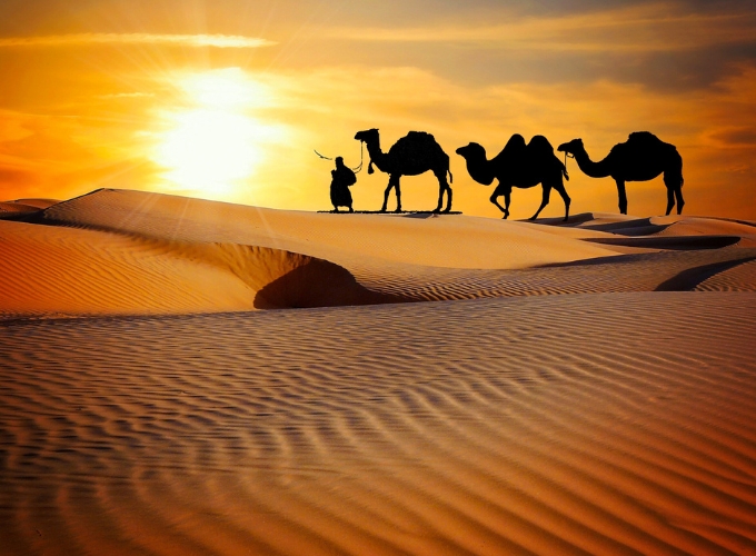 Royal Rajasthan Tour Package