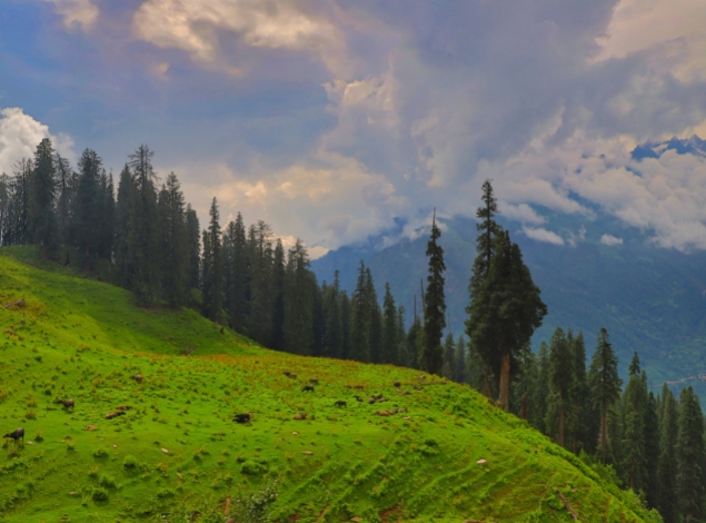 Luxurious Honeymoon Trip To Manali