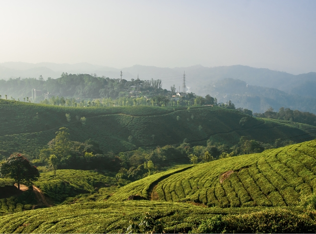 Best Selling Alleppey-munnar Kerala Weekend Tour