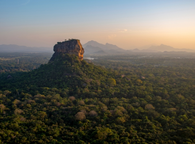 Amazing Sri Lanka Holiday: Whale Watching & Turtle Hatchery