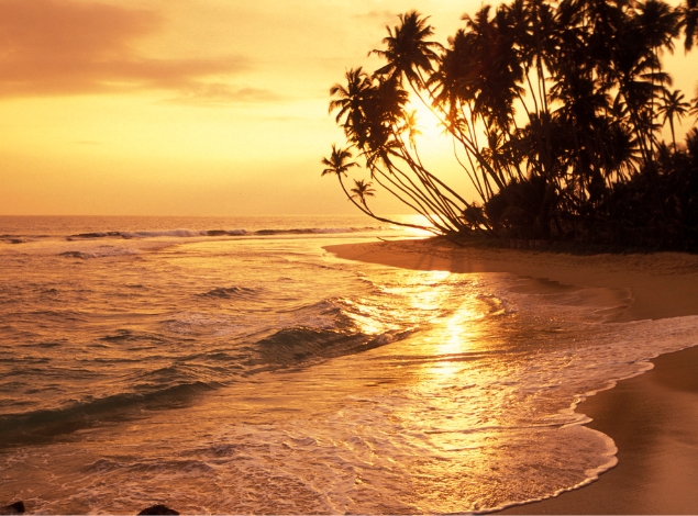 Ramayana Tour Package: Walk Through Sri Lanka’s Past